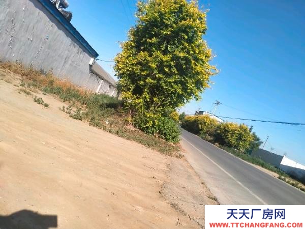 衡水 饒陽(出租發(fā)酵肉制品廠房) 獨門獨院水電齊全交通便利