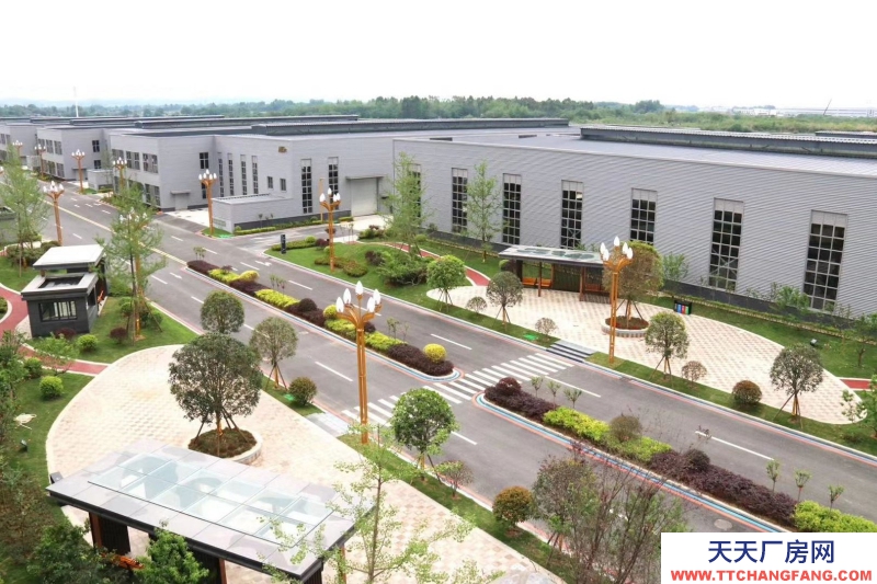 園區直租 無中介費 可做倉庫