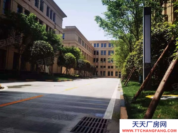 [小微企業補貼政策]天府新區重點園區 530-6700可租售