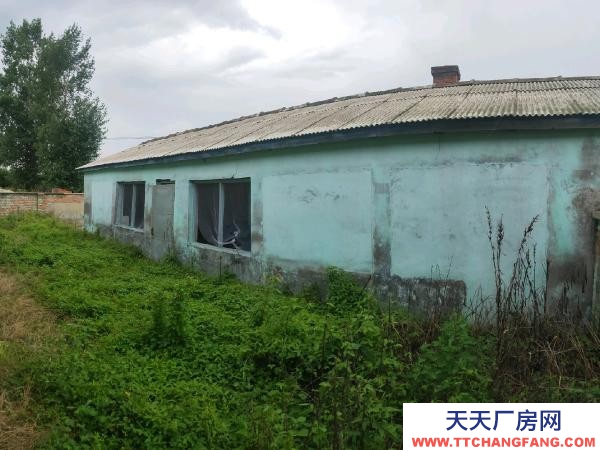 湯原前后三趟房，彩鋼房蓋，門窗都是新換的