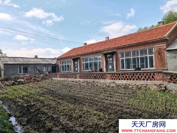 茄子河國道邊，交通方便，有單獨進(jìn)車的門。養(yǎng)殖廠房