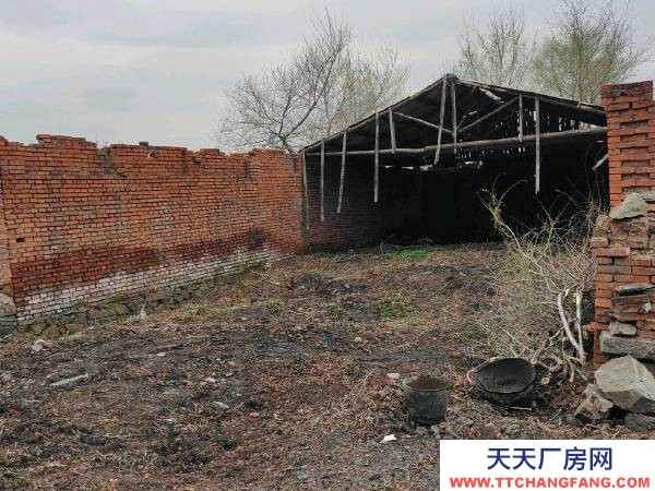 新興自家的老房子，大院子。