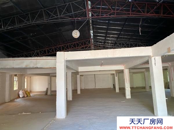 贛州市瑞金家具廠 廠房倉庫出租，沙子崗石井保障房