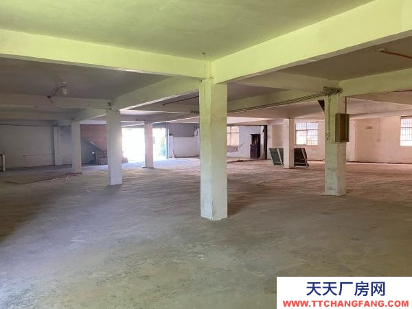 贛州市瑞金家具廠 廠房倉庫出租,沙子崗石井保障房