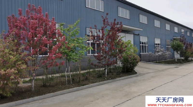 東安3000平米鋼結構，2800平方三層磚混 茶葉廠房