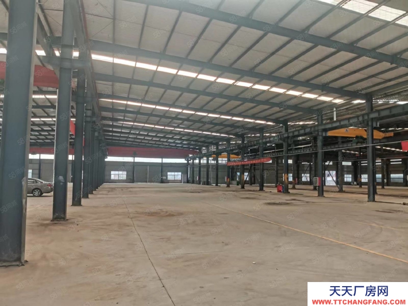 (出租) 徐州泉山西三環時代大道附近標準鋼結構廠房出租適合機械加工