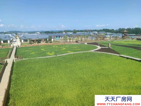 陽明一條路御景園附近大院養殖廠房