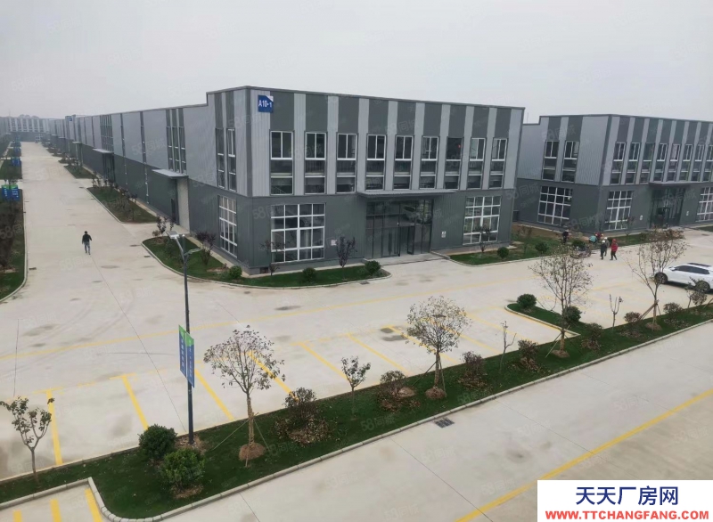 (出租) 徐州沛縣五段附近工業(yè)園內標準廠房出租適合機械加工