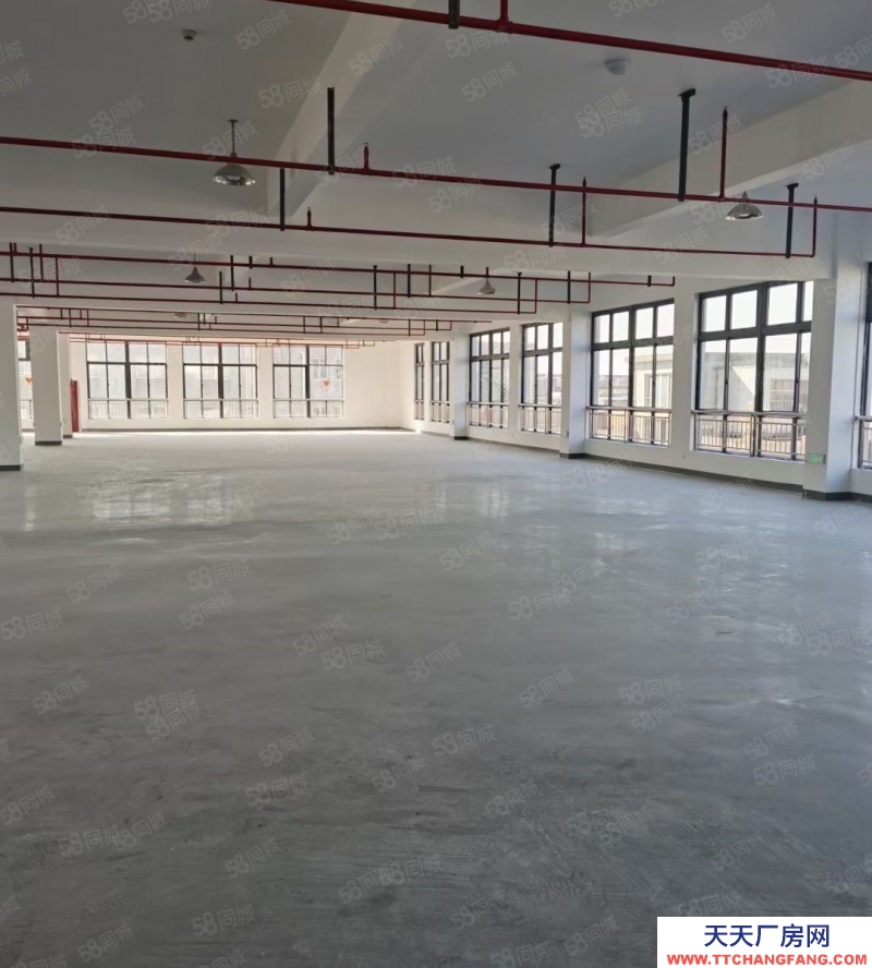 臺州市三門(出租) 三門江口2000平廠房出租，環境優美出入方便，  茶葉及相關制品