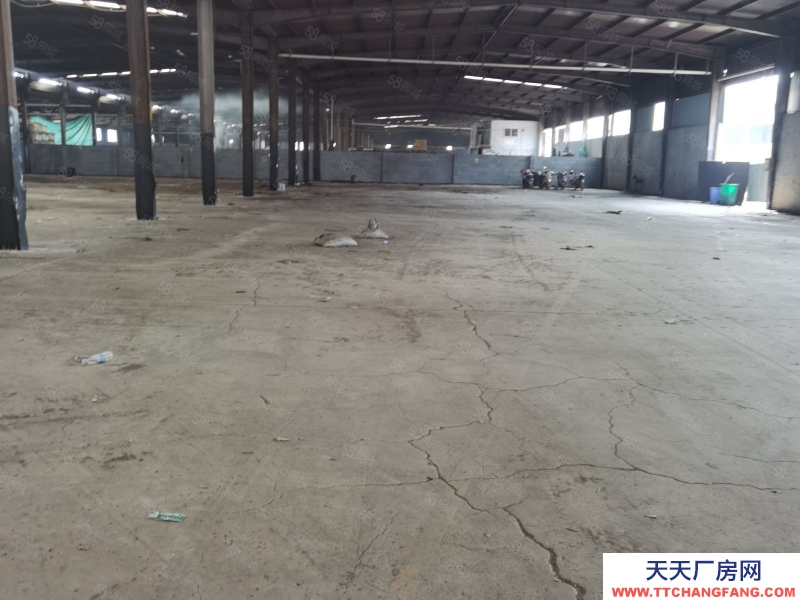 臺(tái)州市三門(mén)(出租) 出租,三門(mén)濱海新城廠房2800平米,獨(dú)門(mén)獨(dú)院 糧食加工品