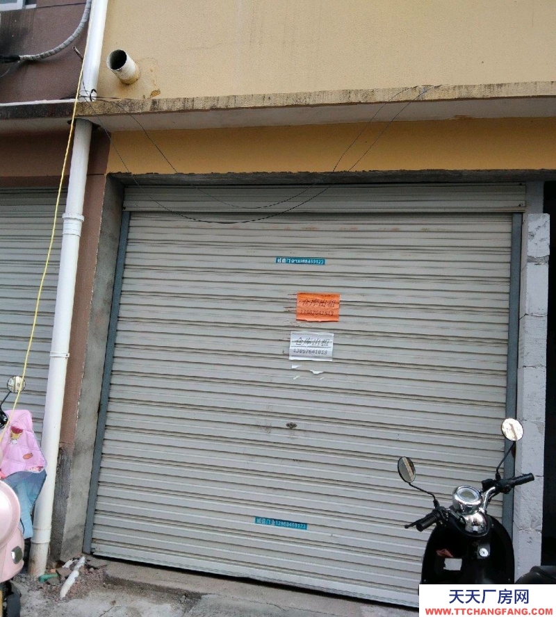 臺州市三門(出租) 交通方便，，西區香鼎閣附近，御景西苑圍墻外。