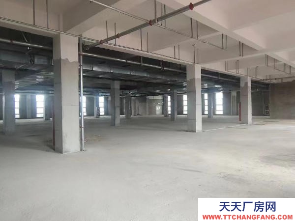 贛州市信豐物資倉庫 出租贛州信豐高標(biāo)準(zhǔn)倉庫廠房適用于電商直播，倉儲加工，辦公室