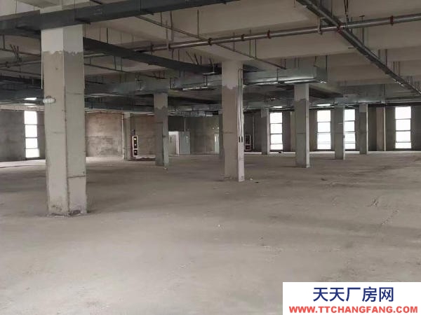 贛州市信豐物資倉庫 出租贛州信豐高標準倉庫廠房適用于電商直播,倉儲加工,辦公室