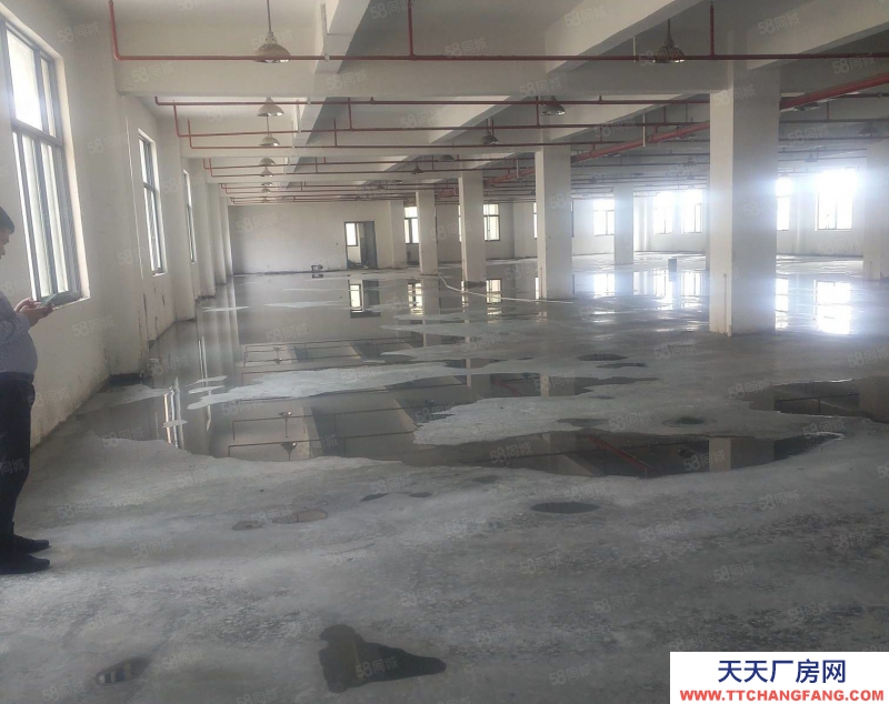 臺州市三門(出售) 三門三角塘28畝廠房，建筑面積6000平方出售，誠心出售 食糖