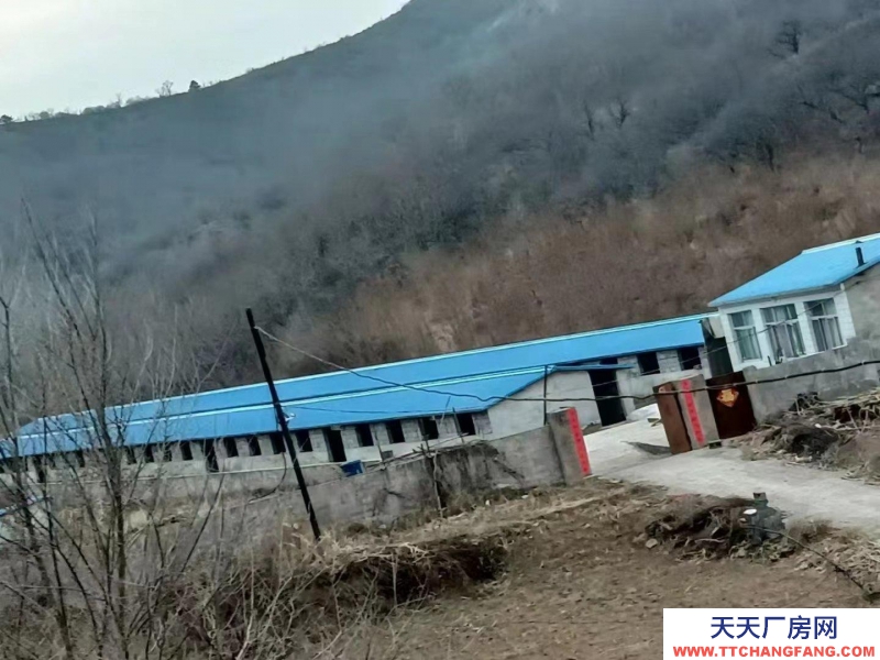 承德 承德縣(出售) 兩排養殖場，一套住房
