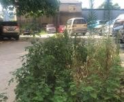 (出租)桂林疊彩 倉庫位于下窯村里，交通便利，水電已通，可以分租，5年一簽