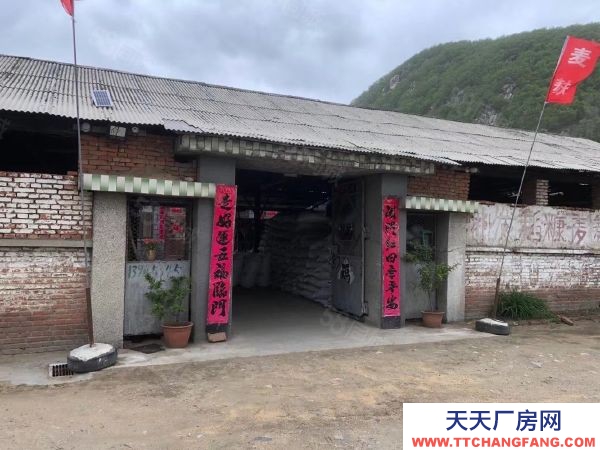 陽明區(qū)樺林鎮(zhèn)工農(nóng)村平房 房照168平 有大院 水井 動力電