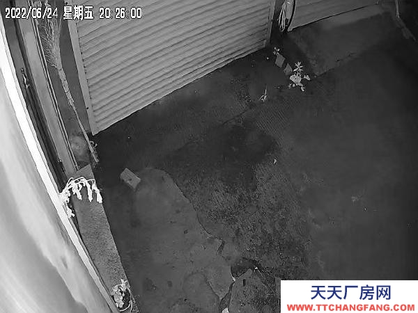 陽明庫房出租。干凈整潔。