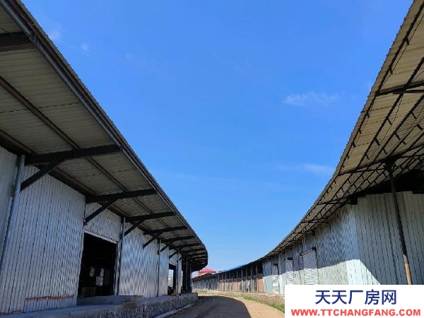 愛民出租標準庫房、場地、站臺庫房