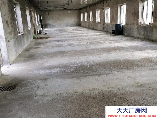 愛民三個調味品廠房900㎡院1200㎡