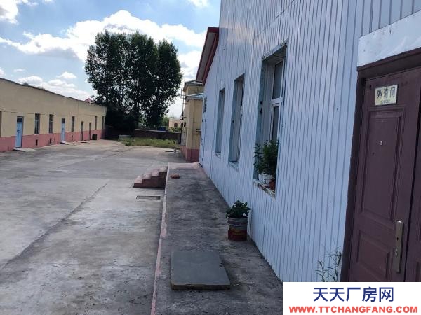 愛民廠房高5米左右在塑料廠院內(nèi)