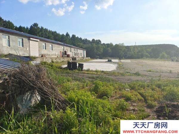 愛民區(qū)白酒廠房900平占地9450平 誠心賣