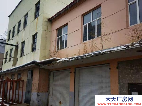 愛民位于林校附近 西林路25號