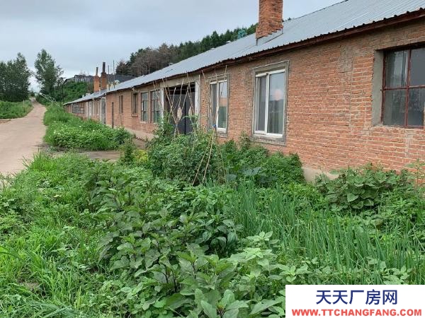 西安大型養殖場養雞場（可做廠房）誠意出售