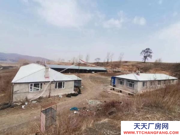 西安現有牡丹江周邊木材加工廠房出售