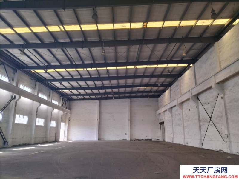 出租2000㎡單層鋼構廠房 獨門獨院 配套辦公宿舍 臨國道高速