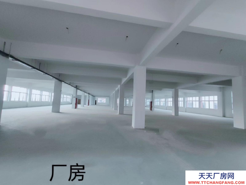 (出租) 徐州睢寧環(huán)境好，價格優(yōu)惠，面積大，房型好適合輕加工