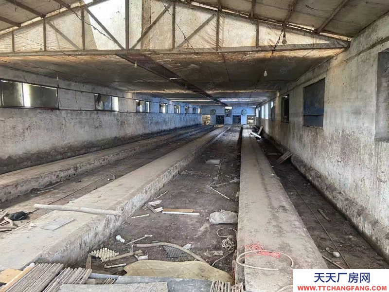 (出租) 徐州邳州宿羊山廠房出租區適合養殖