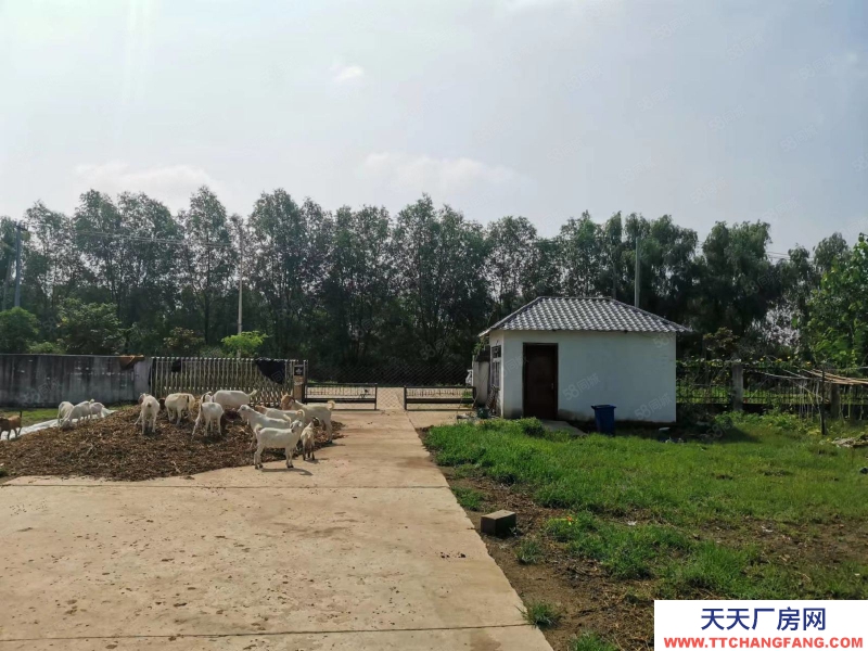 (出租) 徐州邳州四戶鎮(zhèn)馬路旁標(biāo)準(zhǔn)廠房出租適合機(jī)械加工