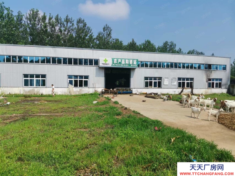 (出租) 徐州邳州四戶鎮(zhèn)馬路旁標(biāo)準(zhǔn)廠房出租適合機(jī)械加工