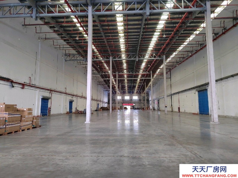 (出租) 徐州云龍區高標庫倉庫火熱招商中,緊鄰大龍湖適合物流倉庫