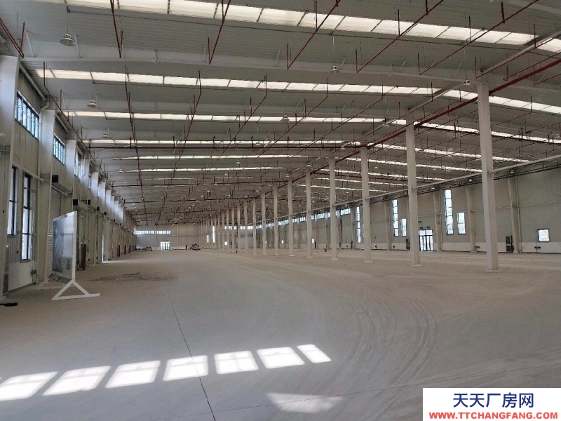 (出租) 徐州豐縣好的倉庫出租物流倉庫