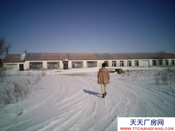 北安周邊，養殖場出租出售