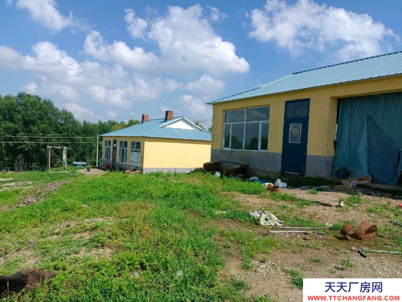 (出售)呼倫貝爾 養殖場出租出售，院內面積1.2萬㎡，可養殖豬牛羊，