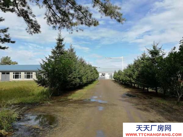 北林城區(qū) 綏蘭路9公里 粉條加工廠房 1500平米