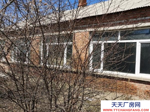 北林一萬平米，500平廠房養(yǎng)殖廠房