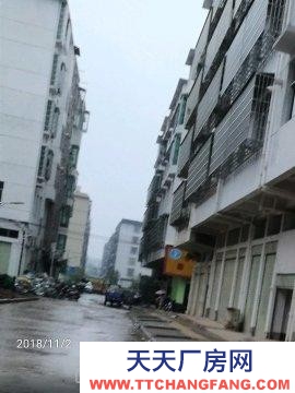 贛州市于都金制衣廠  于都縣貢江鎮上歐工業園里仁路193#、 廠房、辦公（二樓）