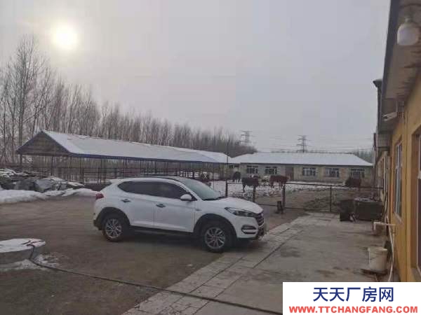 北林出租養(yǎng)殖場，交通便利，養(yǎng)殖的地段