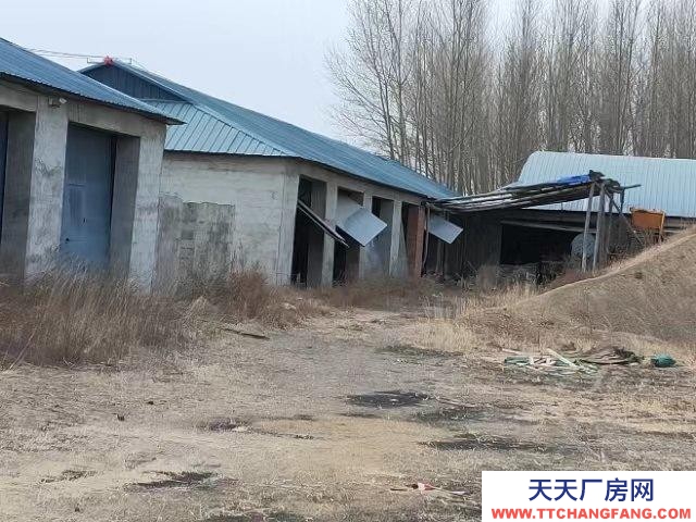 (出售) 阿榮旗出租出售，廠房6棟，住宅一棟，宿舍一棟