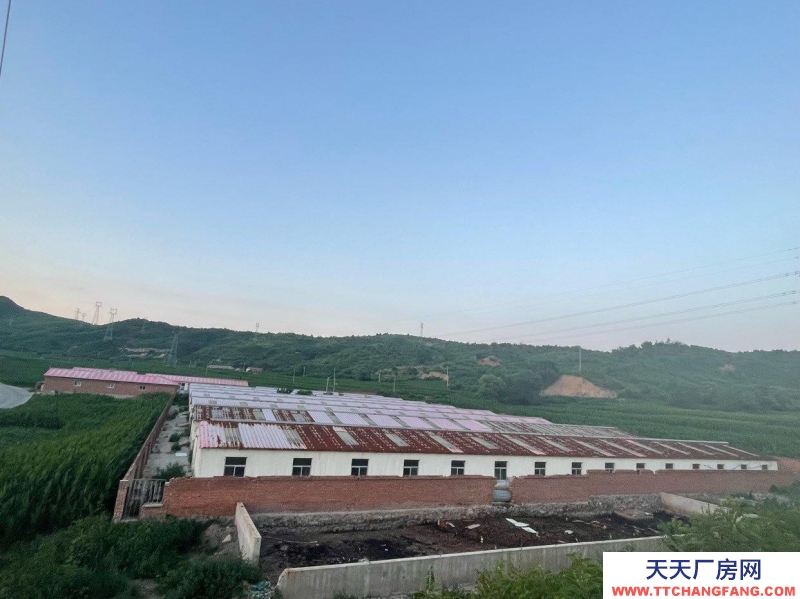 承德 灤平(出租) 豬養殖場 可租可售 證件齊全