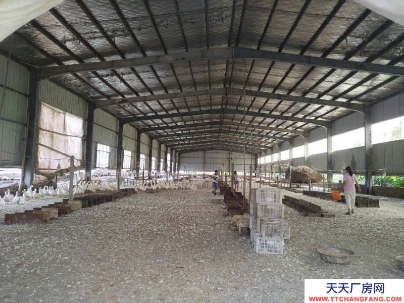 (出租) 徐州銅山棠張五環附近1600平倉庫廠房出租物流倉庫