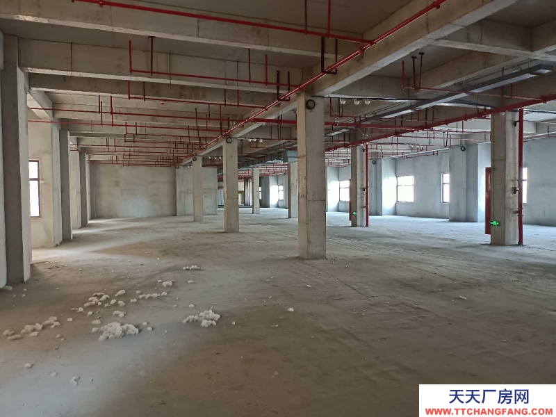 (出租) 徐州銅山大成物流園隔壁倉庫，電商平臺出租物流倉庫電商倉庫