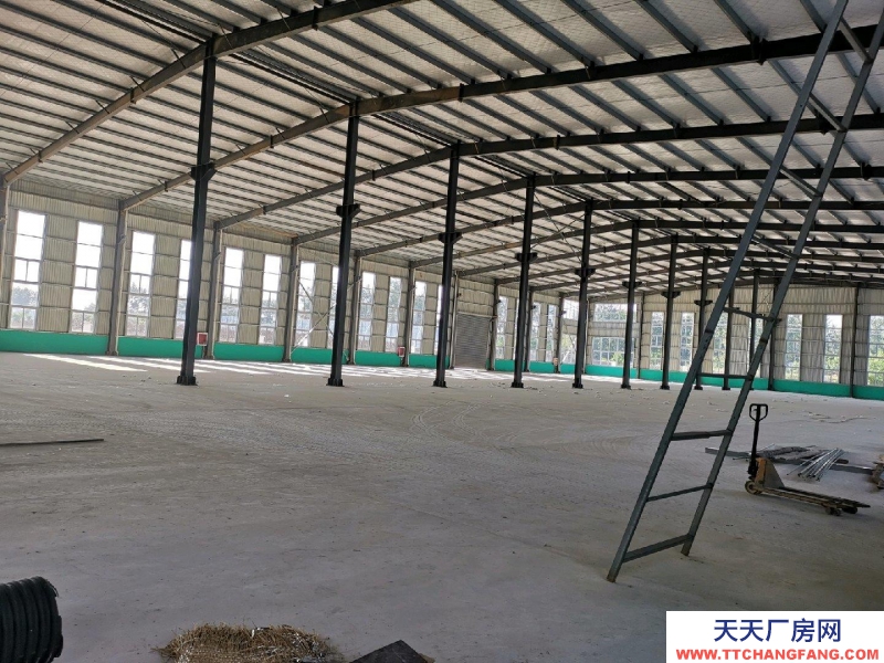 (出租) 徐州睢寧城區 高標準現代化廠房出租 倉庫 6000平米適合物流倉