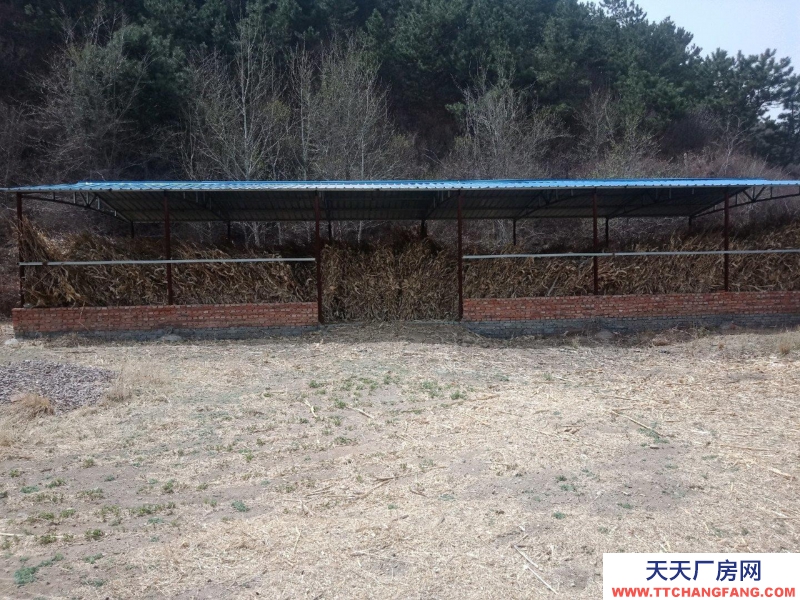 承德 隆化(出租) 湯頭溝鎮(zhèn)小湯頭溝村 養(yǎng)殖場(chǎng)