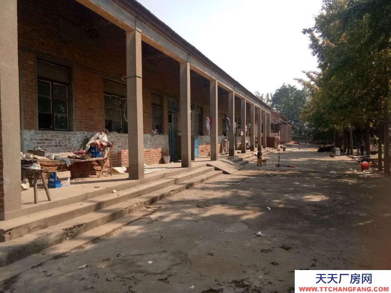 (出租) 徐州新沂27間大教室，原來的學校適合物資倉庫