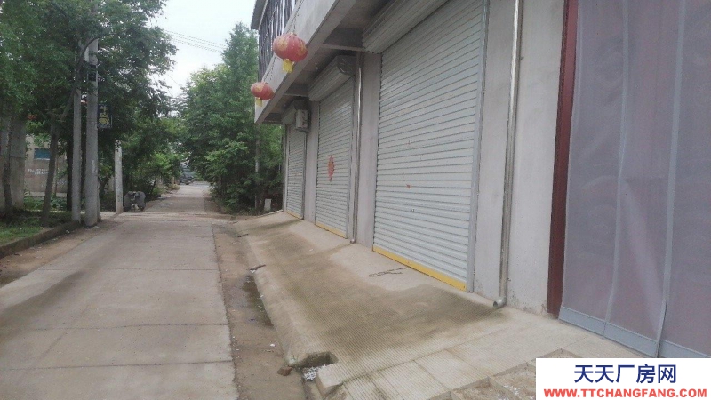 (出租) 徐州邳州250省道邊！地理位置優(yōu)越電商倉(cāng)庫(kù)